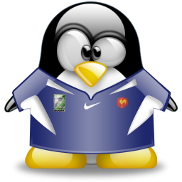 penguin pingouin pinguino 811